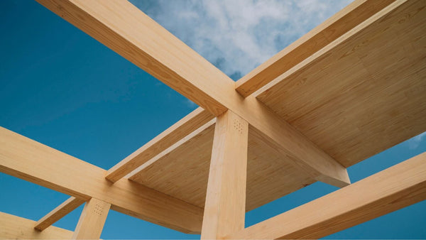Advancing Timber, Together: How TimbA Leads Sustainable Architecture
